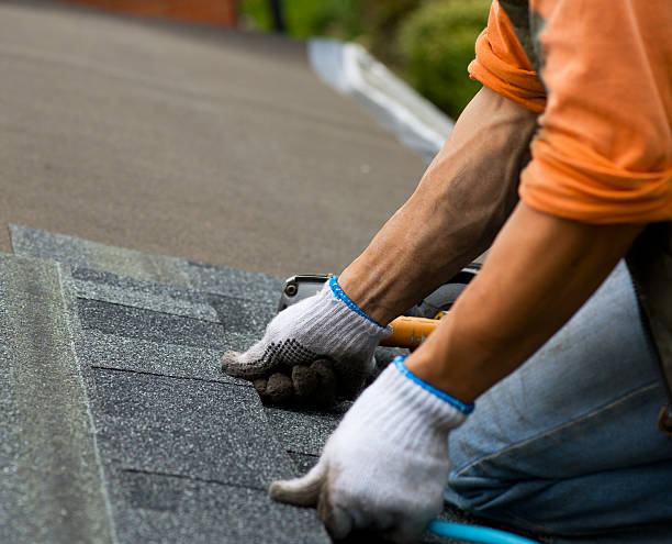 Best Storm Damage Roof Repair  in Cherryland, CA