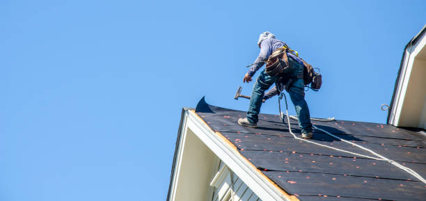 Best Roof Gutter Cleaning  in Cherryland, CA
